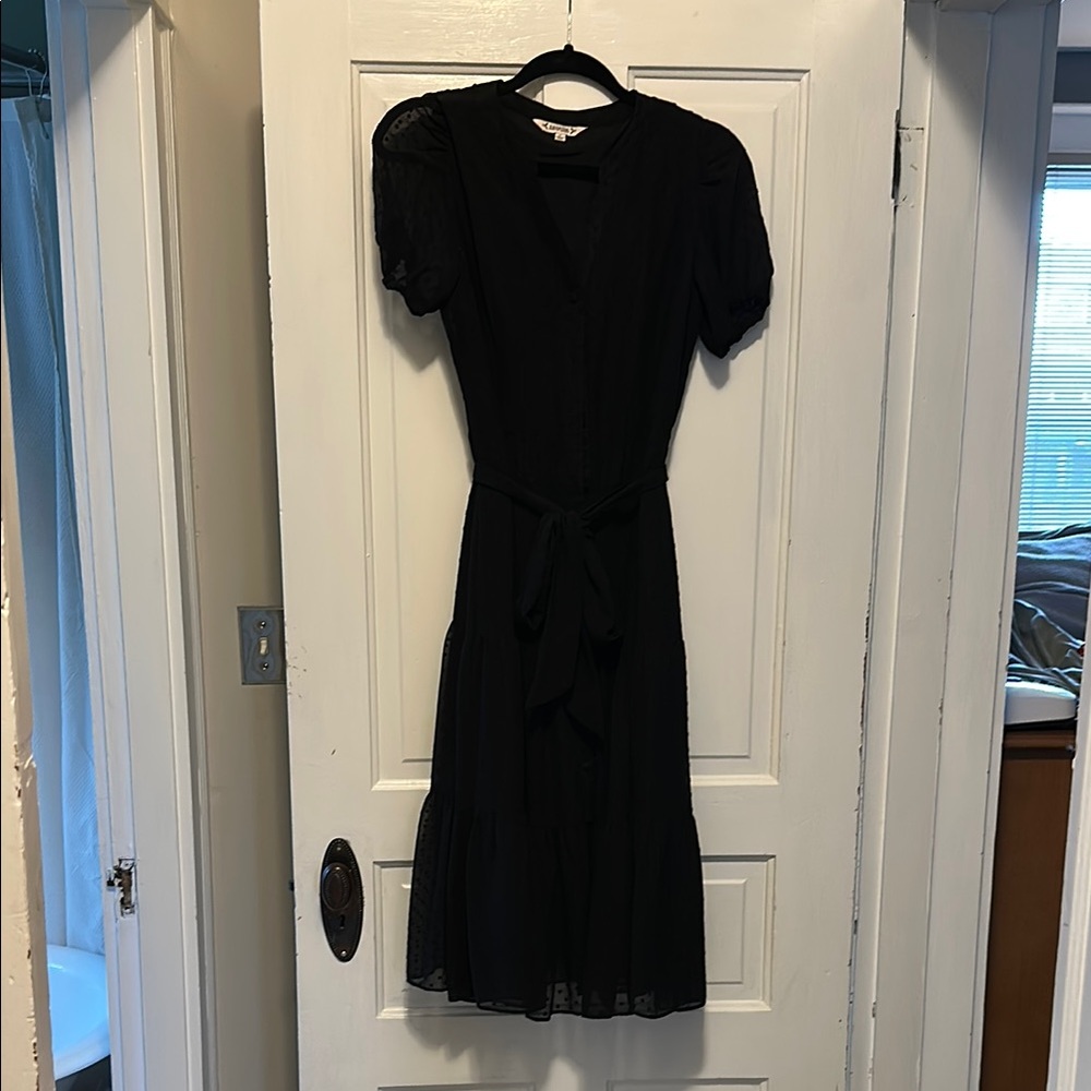 Nanette by Nanette Lapore Swiss dot dress